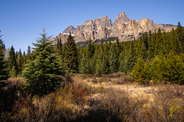 Castle Mountain.
