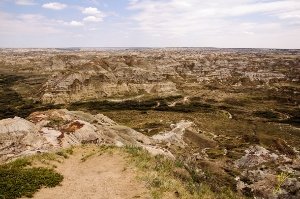 Coulee Point, Dinosaur Provincial Park.