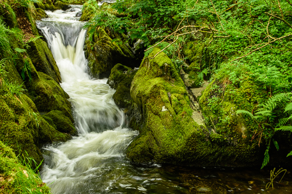 Dolgoch Falls.