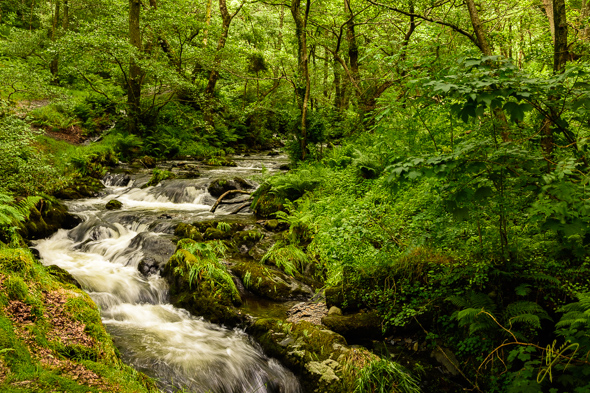 Dolgoch Falls.