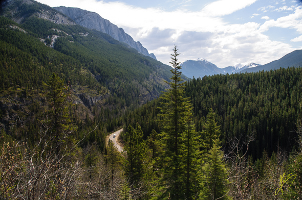 Fiddle Valley.