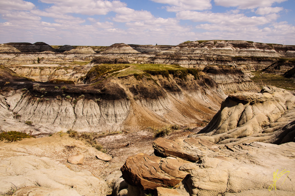 Horseshoe Canyon.