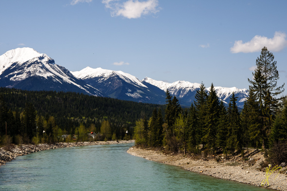 Kicking Horse River, Golden.