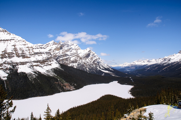 Peyto Lake.