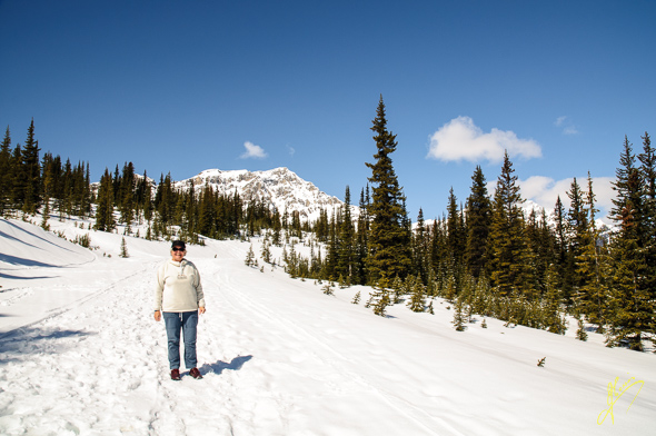 Peyto Lake Trail.
