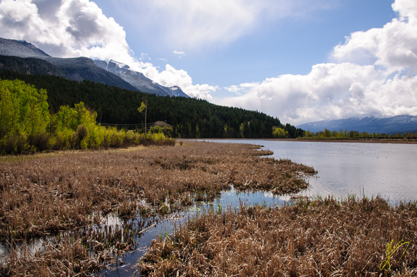 Reflection Lake, Golden.