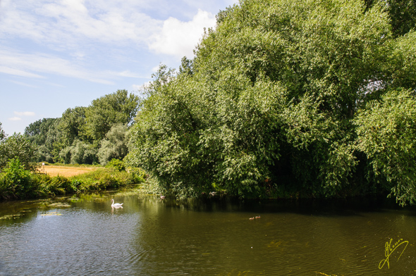River Lark, Mildenhall.
