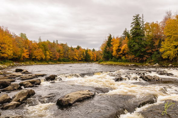 Rivière au Salmon.
