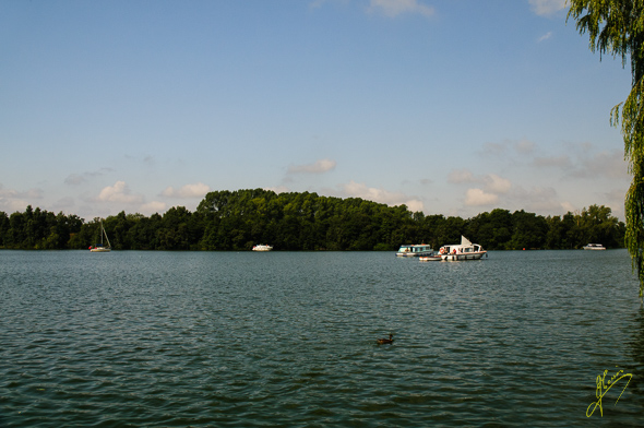 South Waltham Broad.