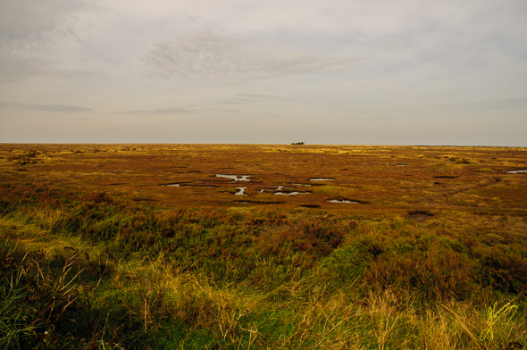 Stiffkey Marshes.