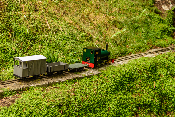 Talyllyn Gala Weekend Garden Railway.