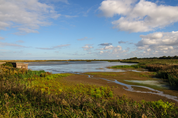 Titchwell RSPB.