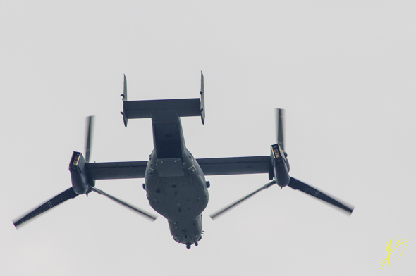 USAF Osprey.