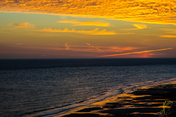 Sunrise at Woodhill.