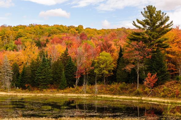 Ètang de I'Ours, Parc National du Mont-Orford.
