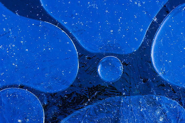 Ice Curves in the New Forest