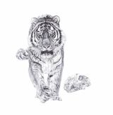 JUNE 2013 - LUXURIOUS PRINTS OF 'IN HOMAGE TO THE LAST GREAT CARNIVORES OF EURASIA' NOW AVAILABLE