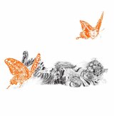 JUNE 2014 - PRINTS AVAILABLE FOR SAVE WILD TIGERS