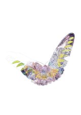 DECEMBER 2014 - CONSERVATION REVIEW