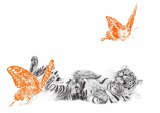 MAY 2014 - 'BUTTERFLY LOVER' for SAVE WILD TIGERS