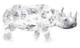March 2017 - 'Rhino' t-shirt for Chengeta Wildlife
