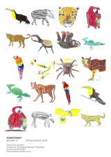 FEBRUARY 2016 - RAINFOREST SPECIES WORKSHOPS