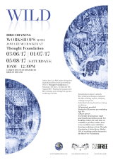 MAY 2017 - 'WILD' - BIRO DRAWING WORKSHOPS JUNE / JULY / AUGUST AT THOUGHT FOUNDATION