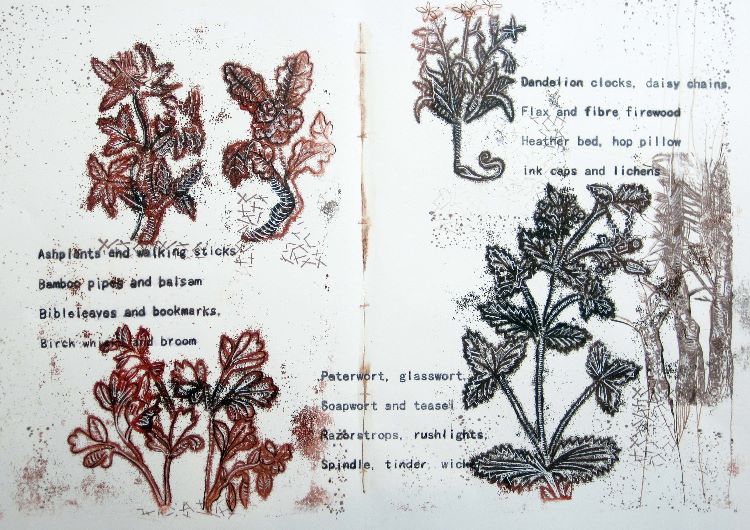 Purposeful Plants 1