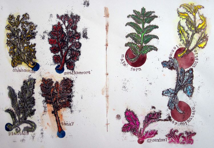 Purposeful Plants 3