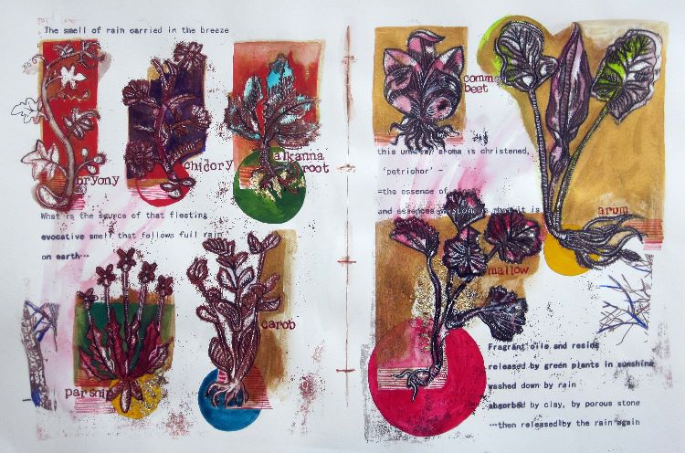 Purposeful Plants 4