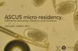 ASCUS CIIE Micro Residency