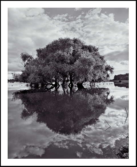 'Weldrake Ings'