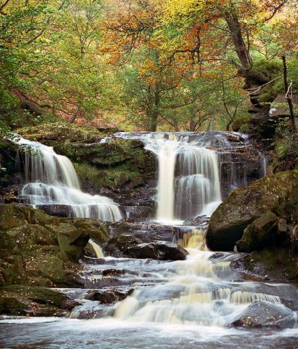 'Autumn at Thomason Foss'