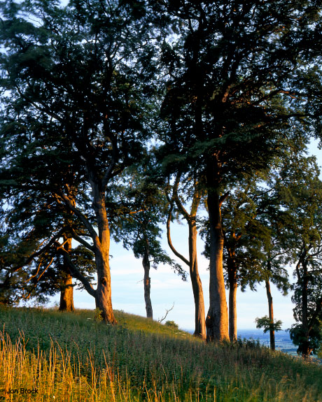 'Setting Sun at Bishop Wilton'