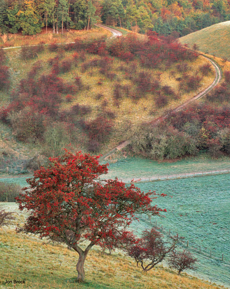 'First light at Bishop Wilton Wold'