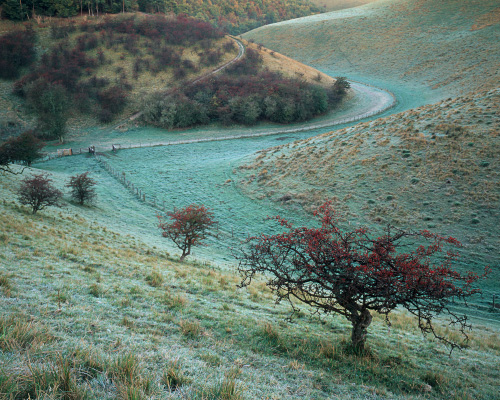 'Bishop Wilton Wold'