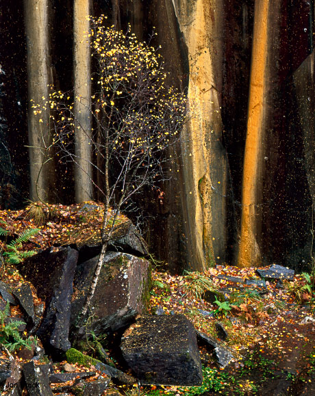 'The Quarry'