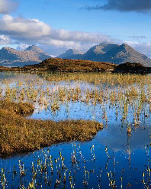 'Blue Lochan'