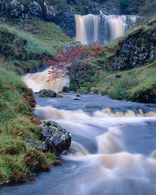 'Rowan Tree Falls'