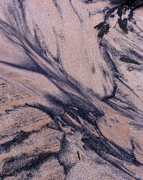 'Where River Meets Sea'