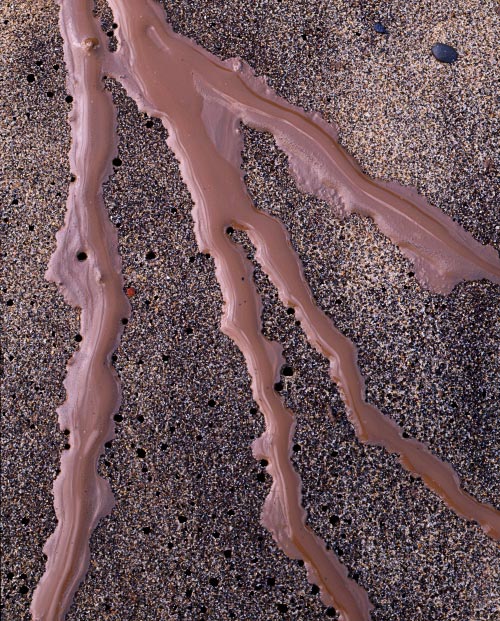'The Claw'