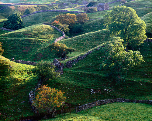 'Dawn light in the Dales'