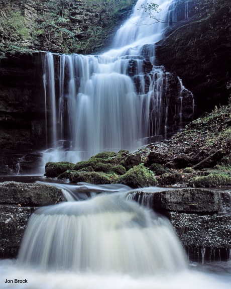 'Scalebar Force'