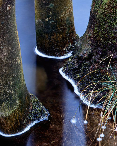 'Streams of Light'