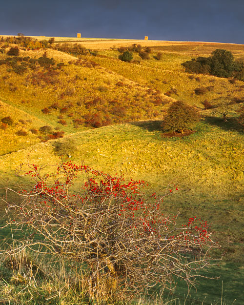 'Storm at Dawn over Scoar Dale'