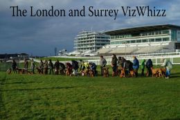London & Surrey Vizwhizz