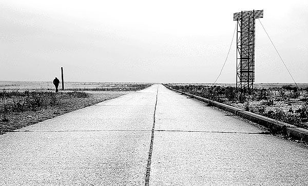 Dungeness02