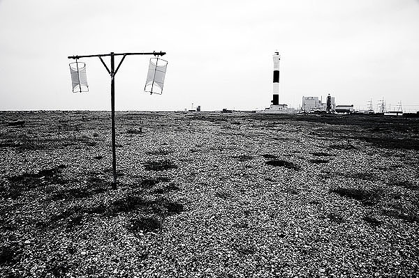 Dungeness10