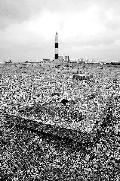 Dungeness12