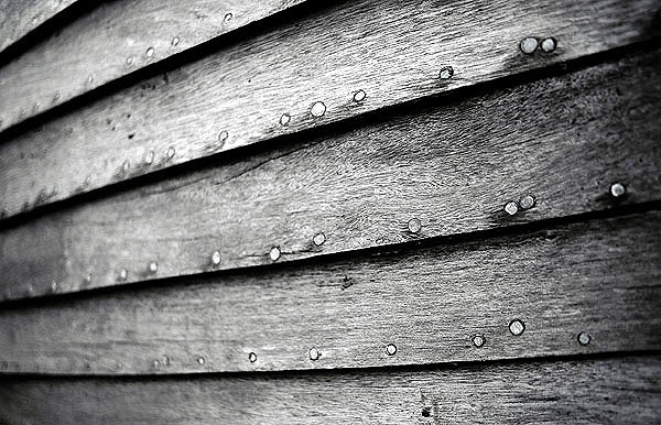 Dungeness15